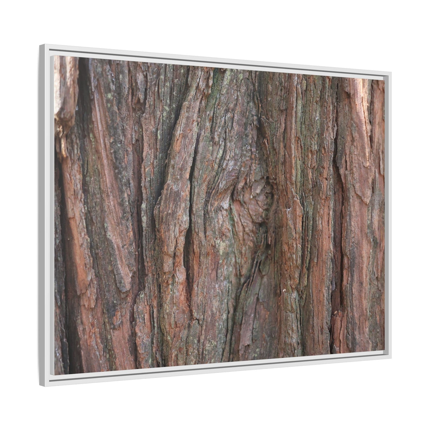 Rugged Textures - Unique Stretched Canvas Wall Art - Art By Earth