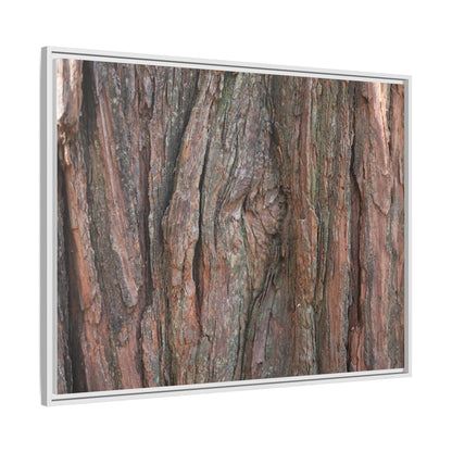 Rugged Textures - Unique Stretched Canvas Wall Art - Art By Earth