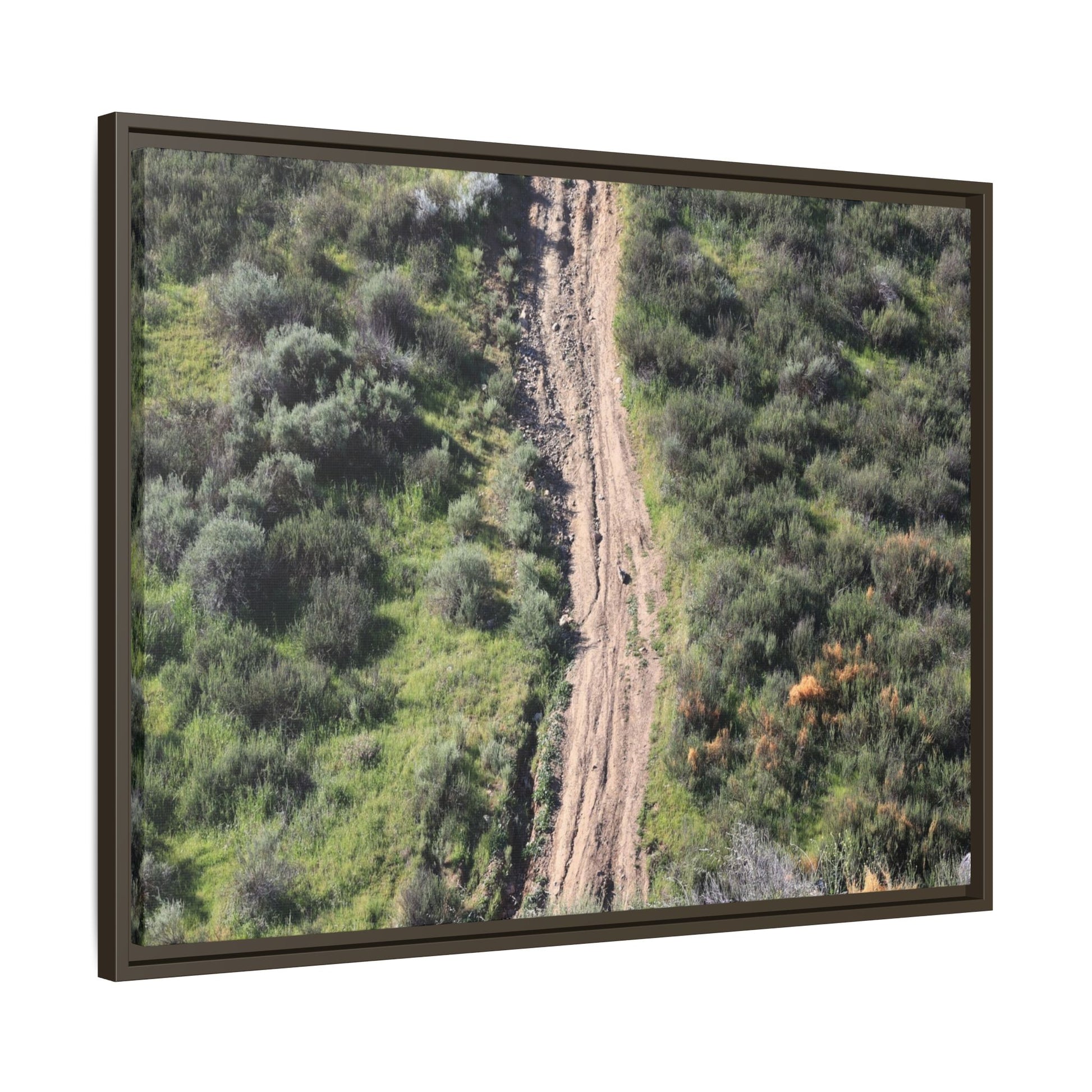Desert Path Through Sage - Unique Stretched Canvas Wall Art - Art By Earth