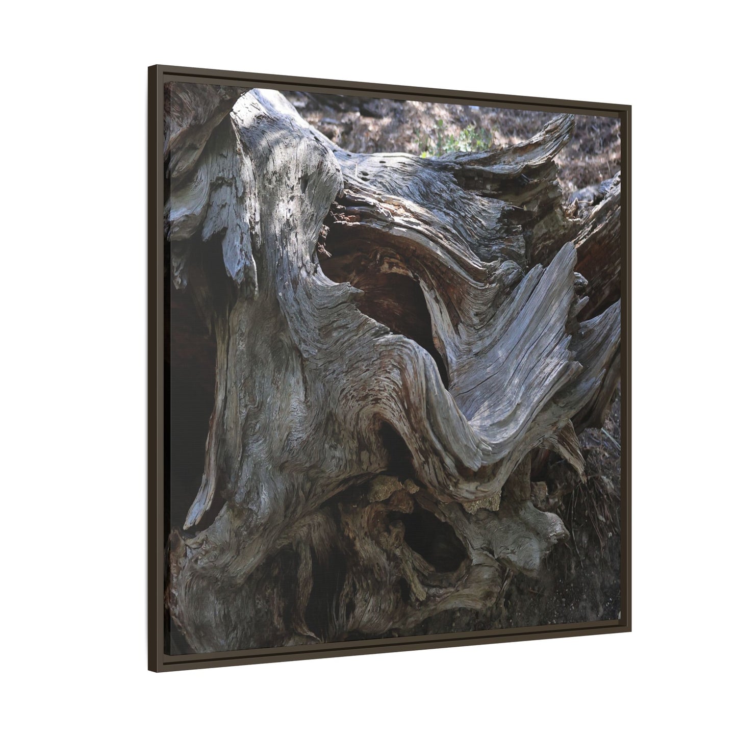 Twisted Memories - Unique Stretched Canvas Wall Art - Art By Earth