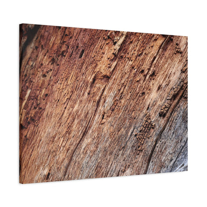 Natural Wood Grain - Unique Frameless Canvas Wall Art - Art By Earth
