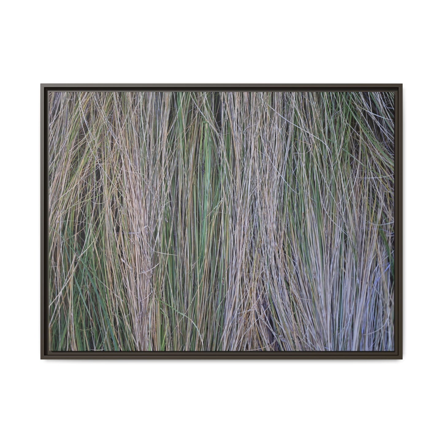 Whispers of Silver Grass - Unique Stretched Canvas Wall Art - Art By Earth