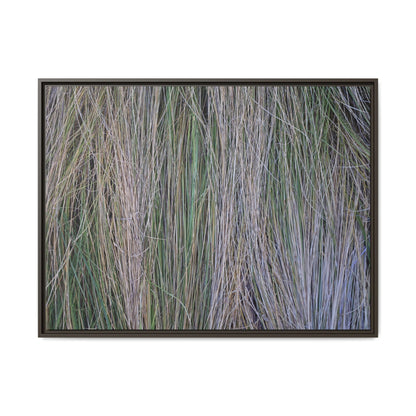 Whispers of Silver Grass - Unique Stretched Canvas Wall Art - Art By Earth