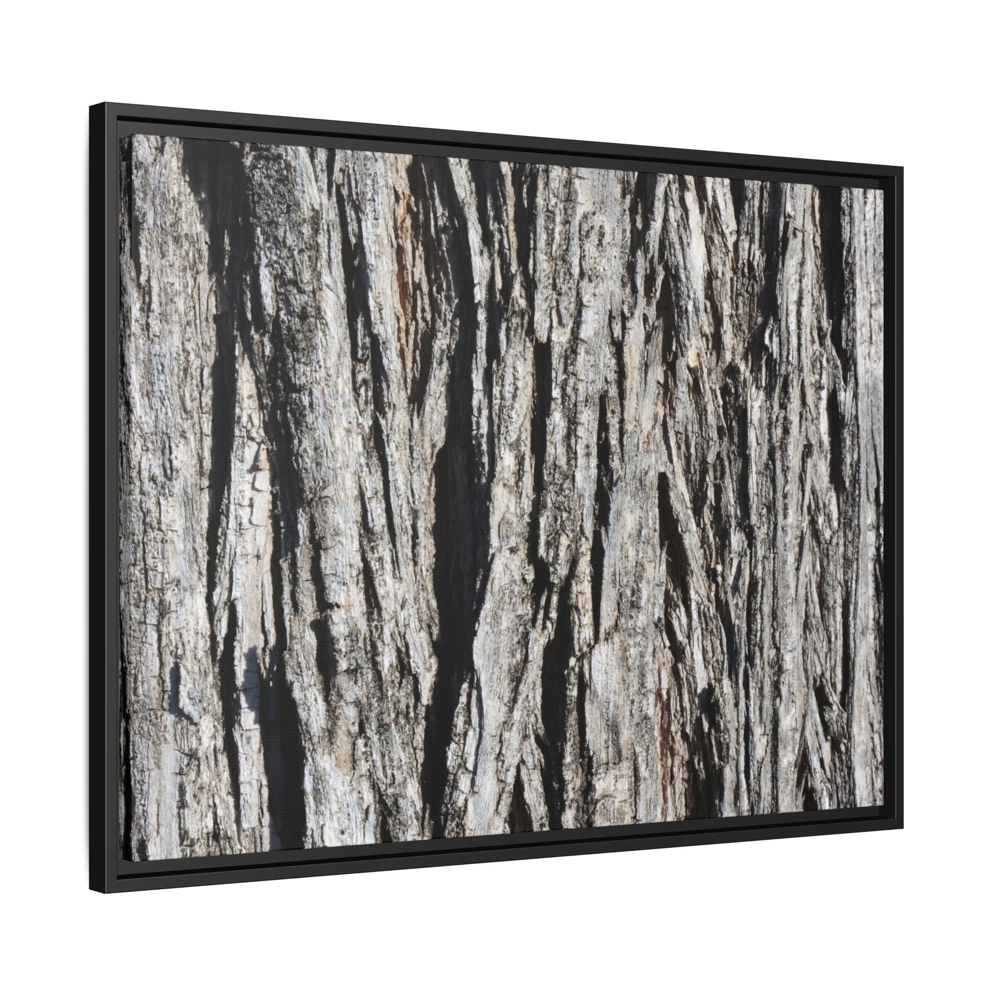 Bark Lines - Unique Stretched Canvas Wall Art - Art By Earth