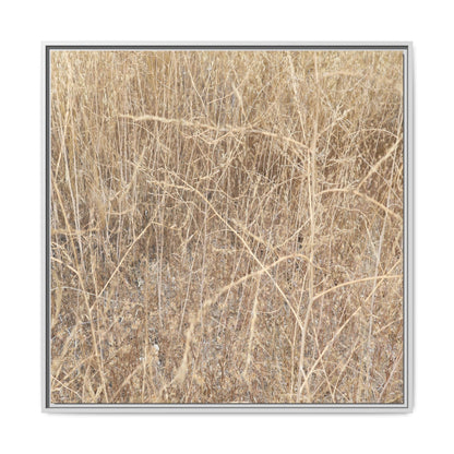 Golden Stalks - Unique Stretched Canvas Wall Art - Art By Earth