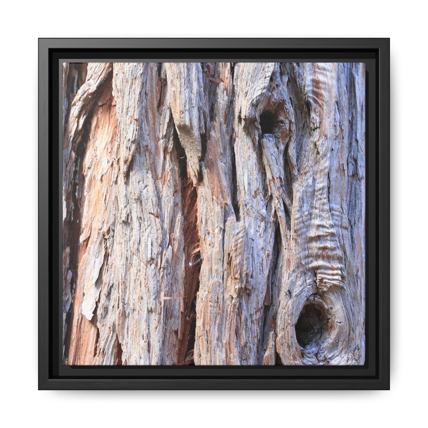 Nature's Grain - Unique Stretched Canvas Wall Art - Art By Earth