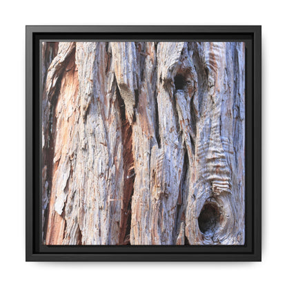 Nature's Grain - Unique Stretched Canvas Wall Art - Art By Earth