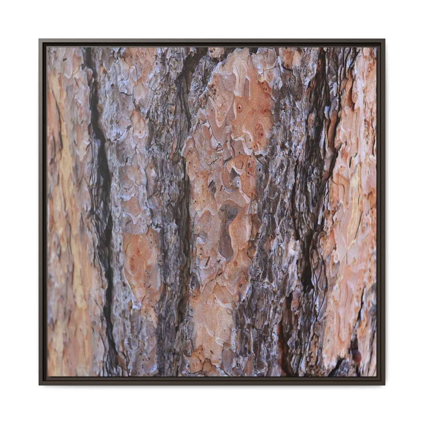 Earthy Embrace - Unique Stretched Canvas Wall Art - Art By Earth