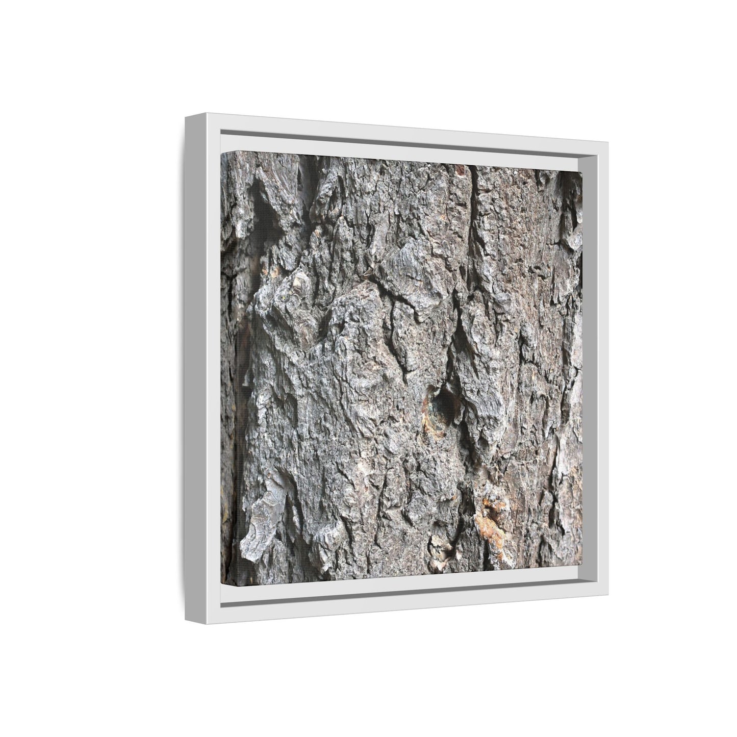 Crusty Exterior - Unique Stretched Canvas Wall Art - Art By Earth