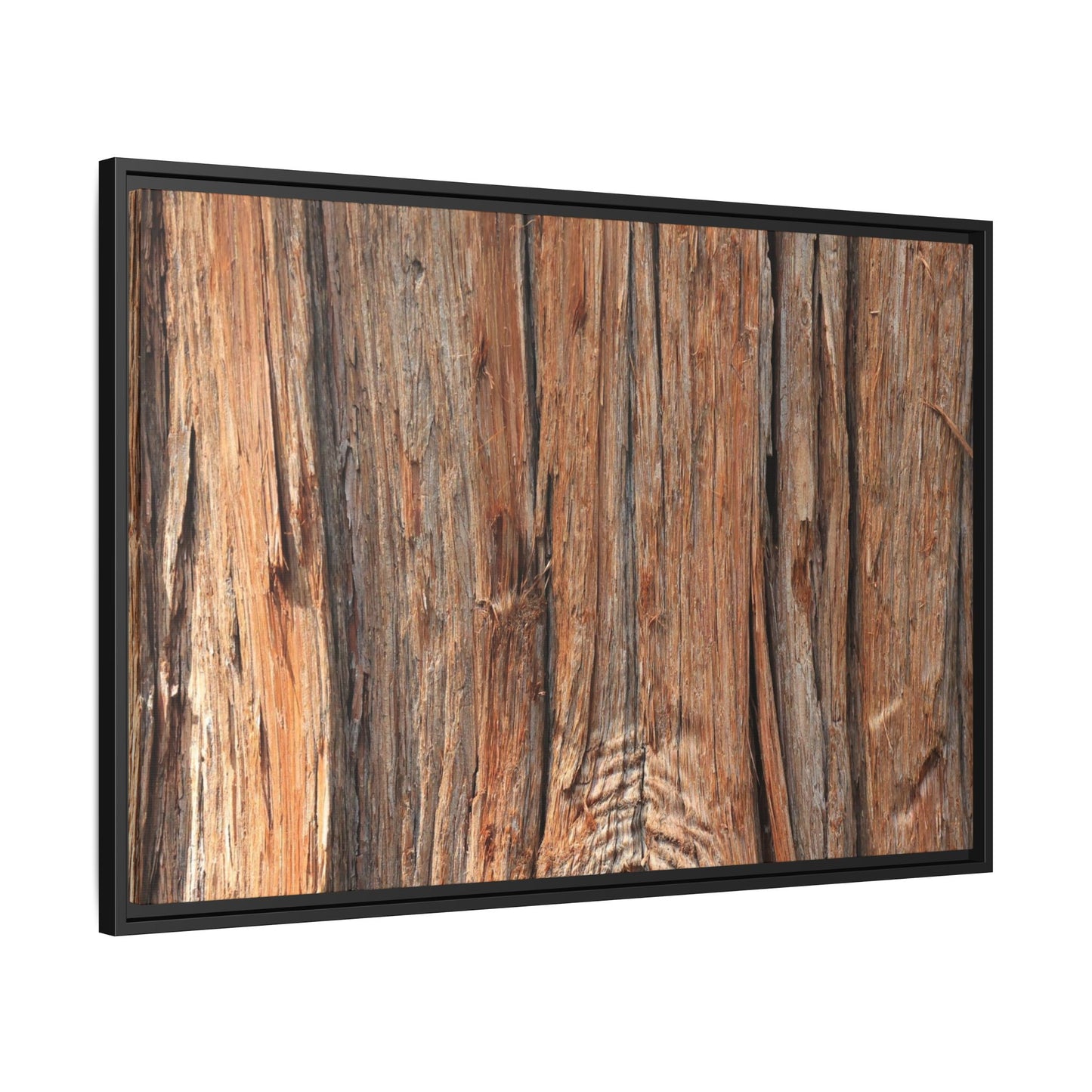 Echoes of Timber - Unique Stretched Canvas Wall Art - Art By Earth