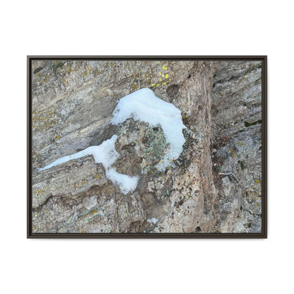 Lichen's Embrace - Unique Stretched Canvas Wall Art