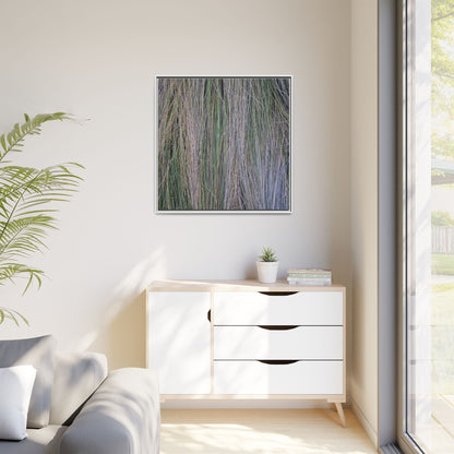 Whispers of Silver Grass - Unique Stretched Canvas Wall Art - Art By Earth