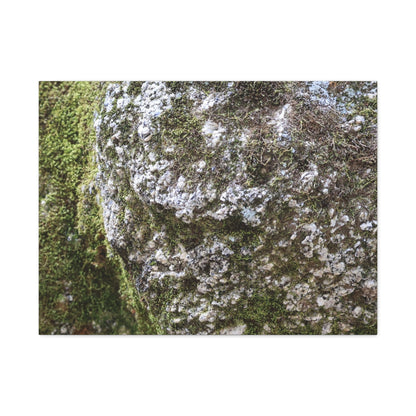 Moss and Stone Whispers - Unique Frameless Canvas Wall Art - Art By Earth