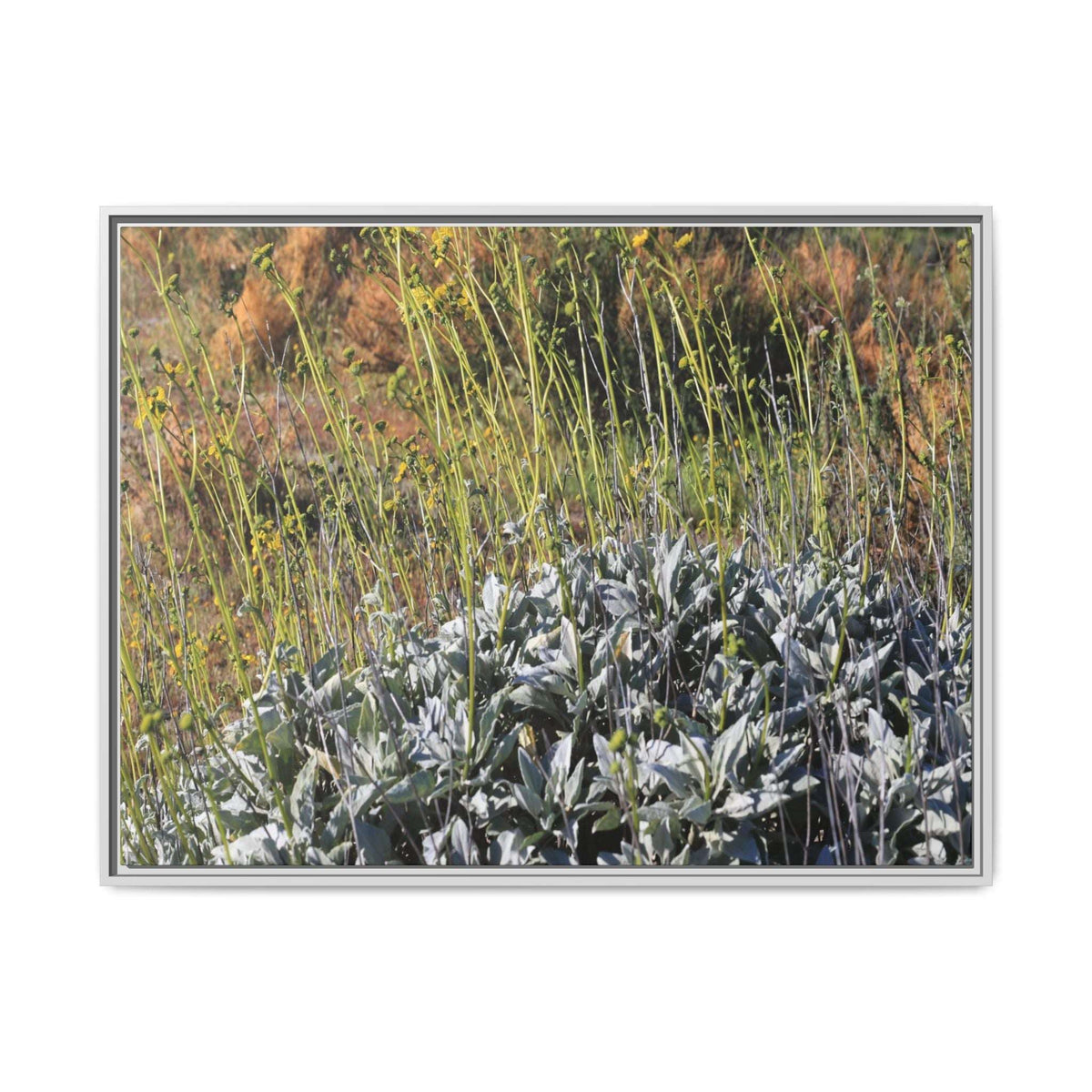 Arid Landscape with Yellow Flowers - Unique Stretched Canvas Wall Art - Art By Earth