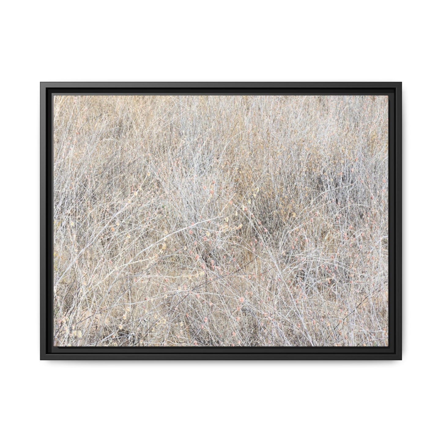 Whispers of Dry Grass - Unique Stretched Canvas Wall Art - Art By Earth
