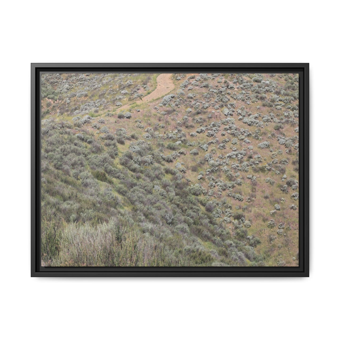 Arid Landscape with Winding Path - Unique Stretched Canvas Wall Art - Art By Earth