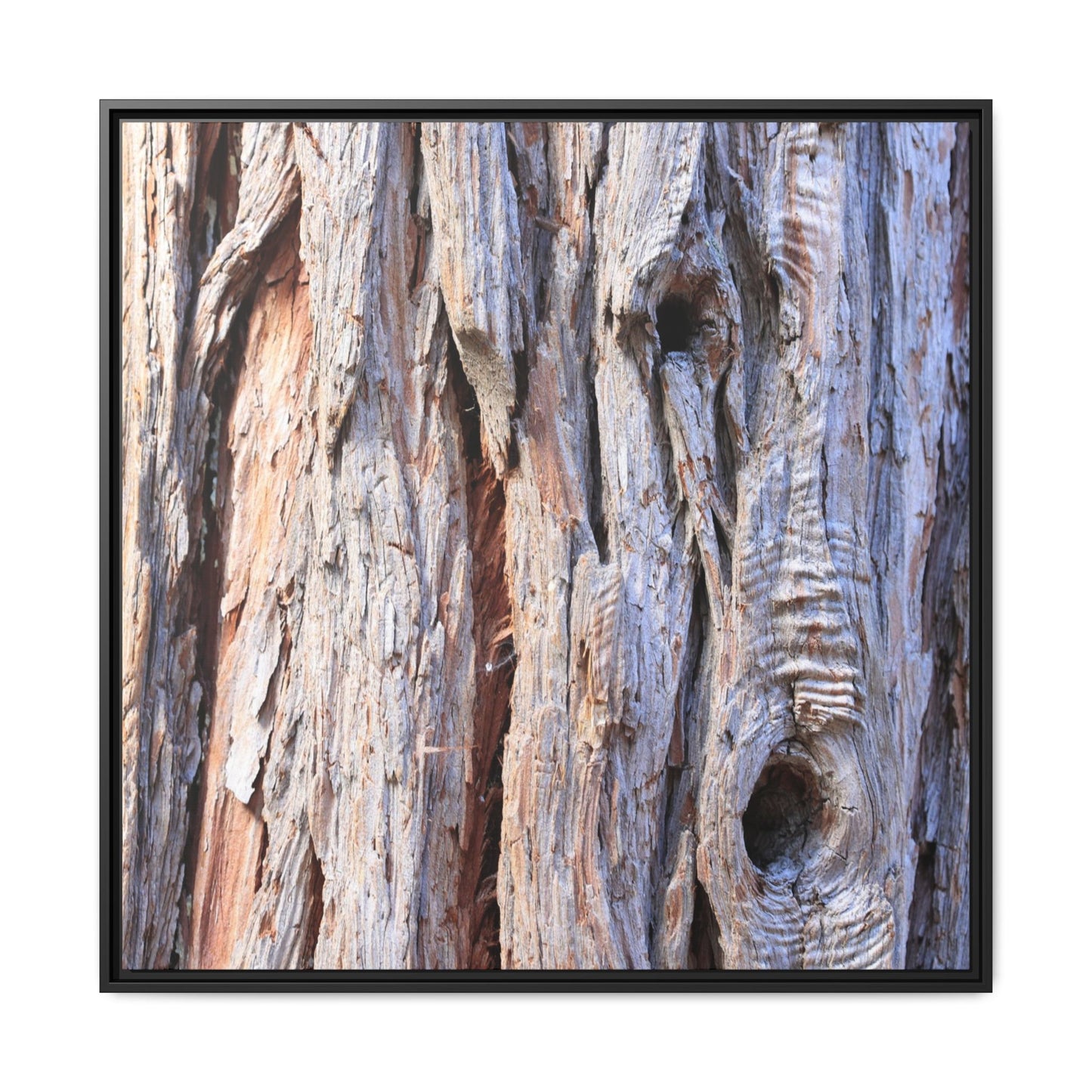 Nature's Grain - Unique Stretched Canvas Wall Art - Art By Earth