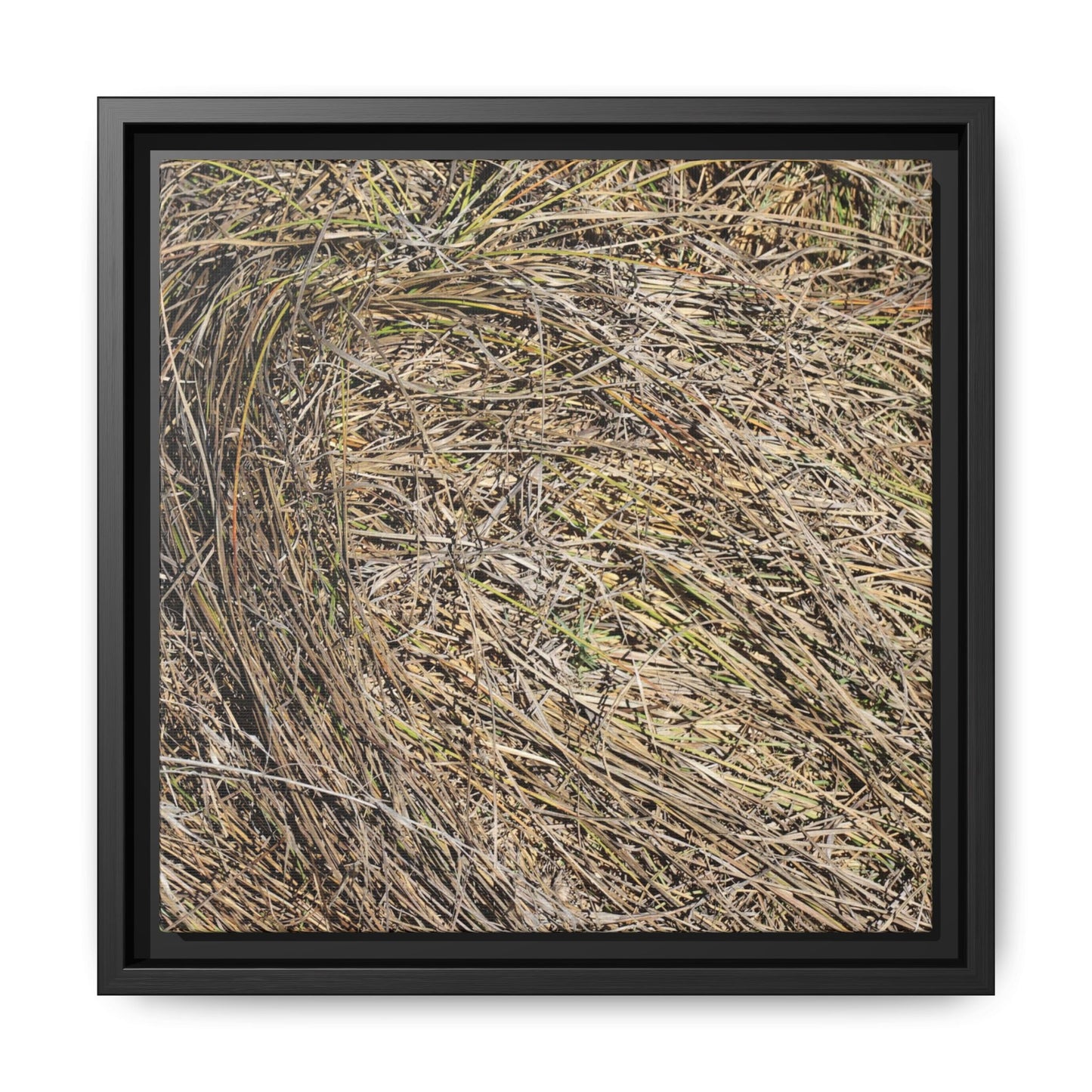 Tangled Grass Symphony - Unique Stretched Canvas Wall Art - Art By Earth