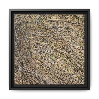 Tangled Grass Symphony - Unique Stretched Canvas Wall Art - Art By Earth