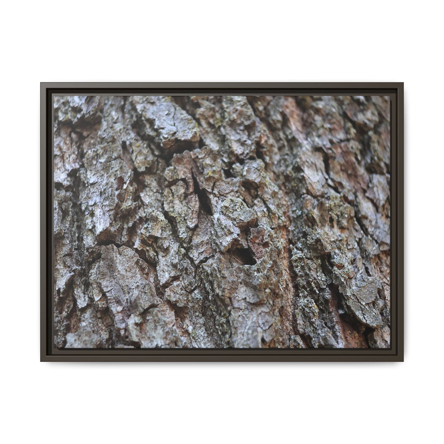 Woodland Canvas - Unique Stretched Canvas Wall Art - Art By Earth
