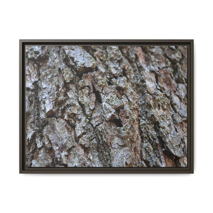 Woodland Canvas - Unique Stretched Canvas Wall Art - Art By Earth