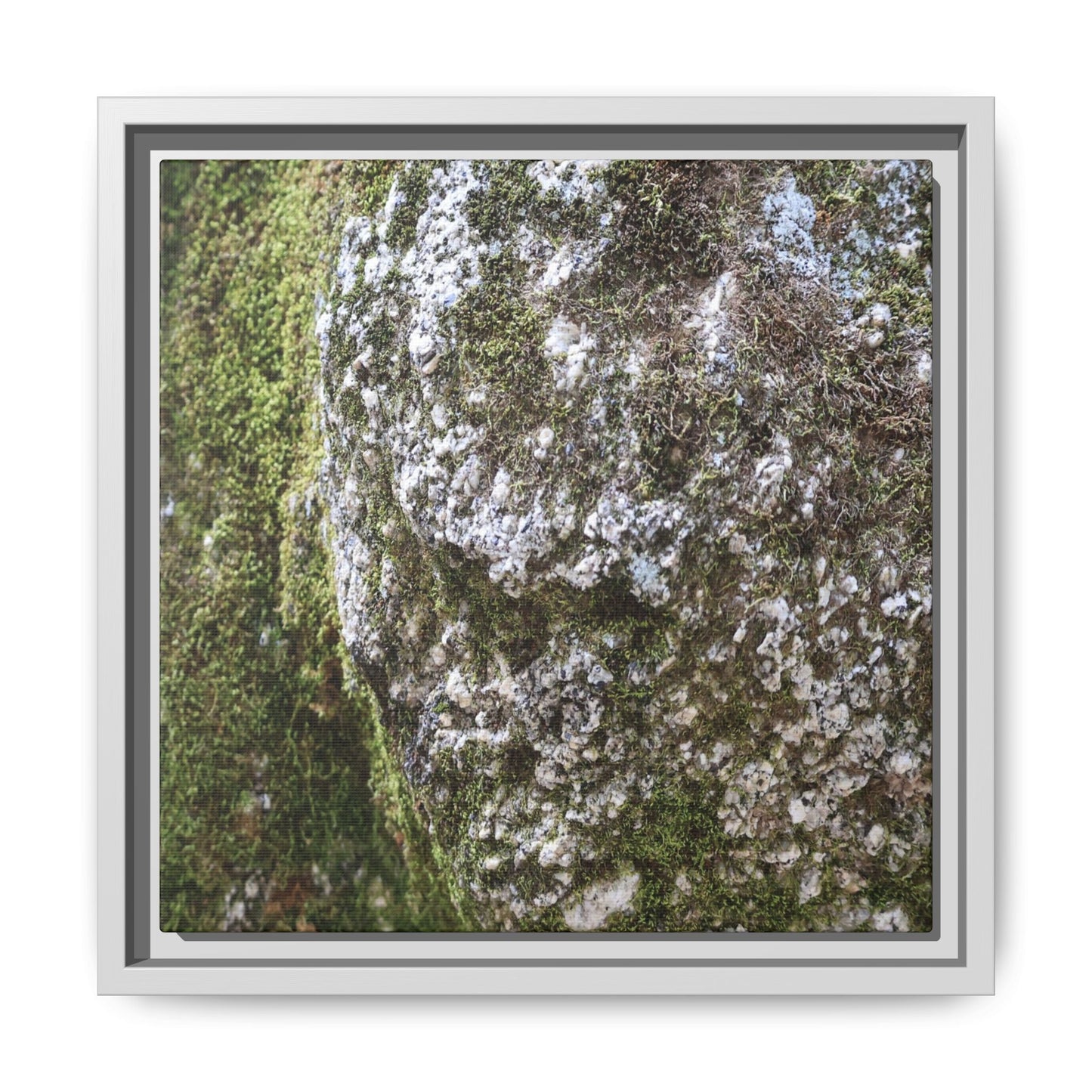Lichen Landscape - Unique Stretched Canvas Wall Art - Art By Earth