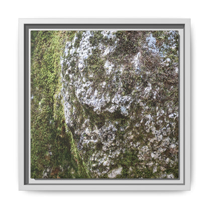Lichen Landscape - Unique Stretched Canvas Wall Art - Art By Earth