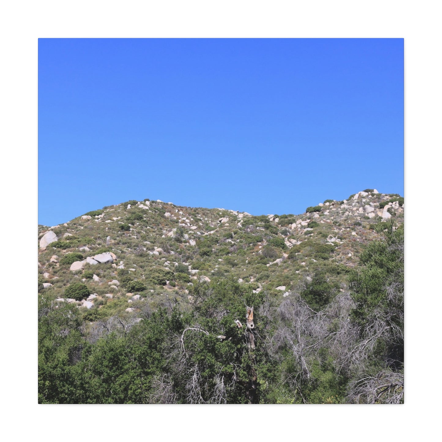 Rocky Hills with Desert Vegetation - Unique Frameless Canvas Wall Art