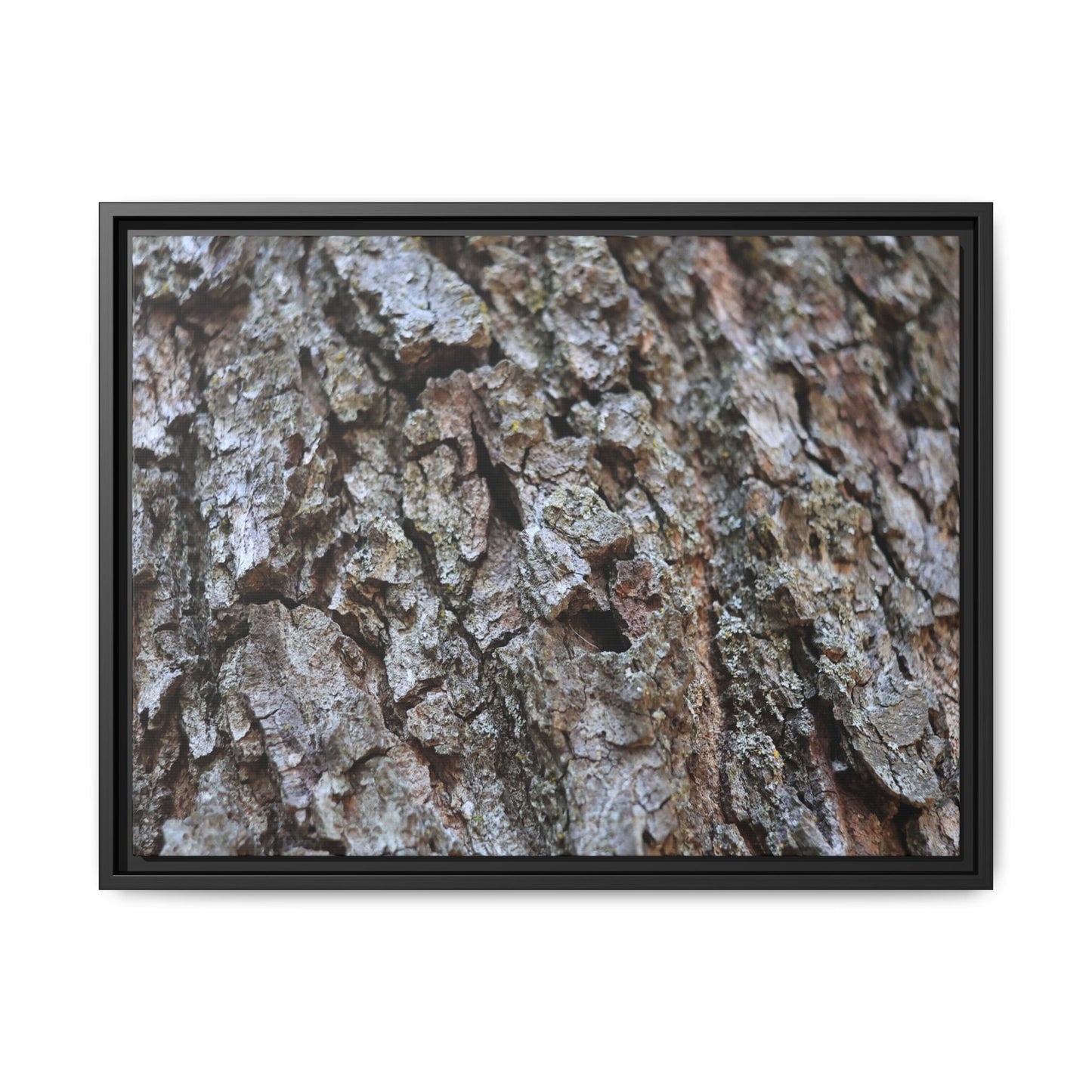 Woodland Canvas - Unique Stretched Canvas Wall Art - Art By Earth