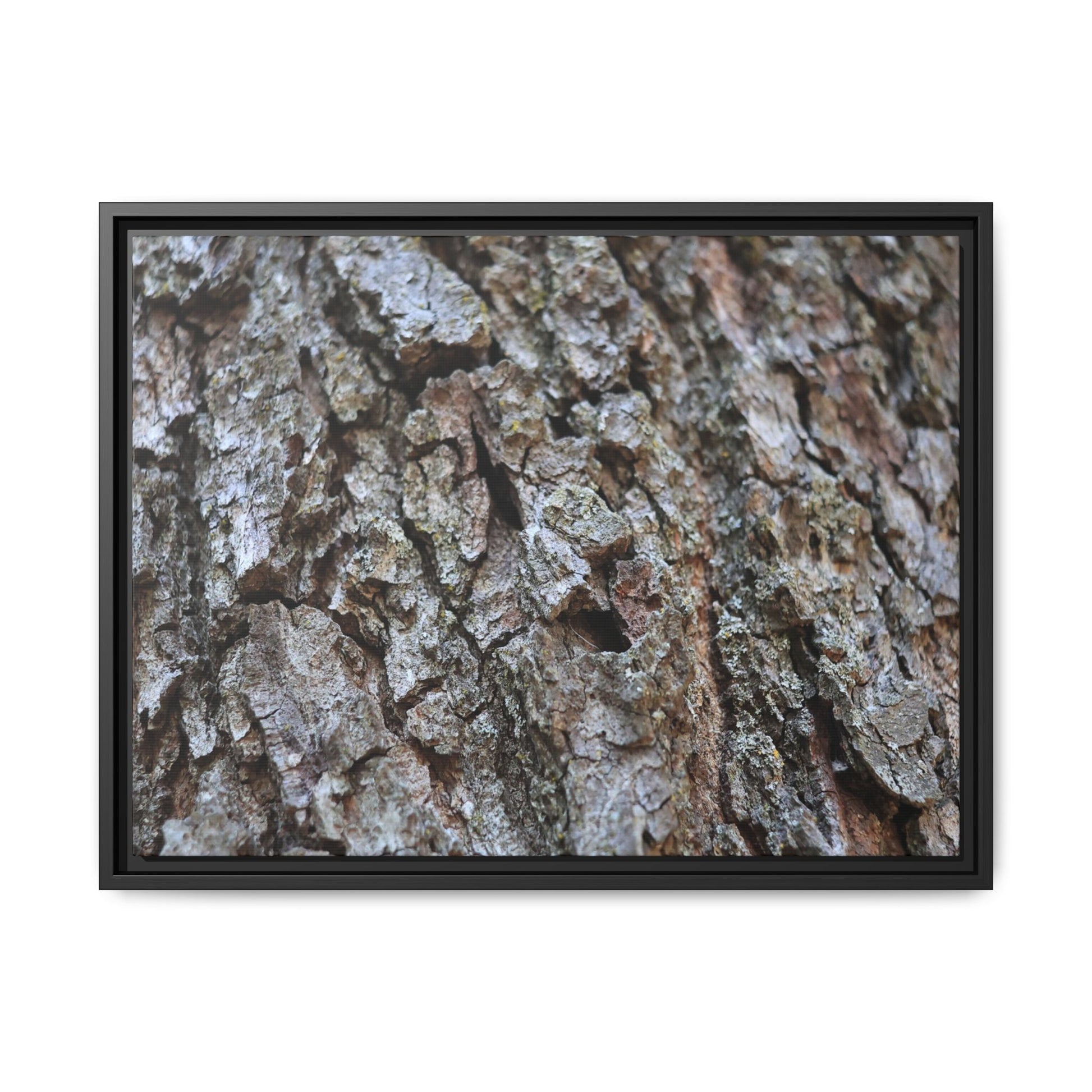 Woodland Canvas - Unique Stretched Canvas Wall Art - Art By Earth