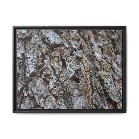 Woodland Canvas - Unique Stretched Canvas Wall Art - Art By Earth