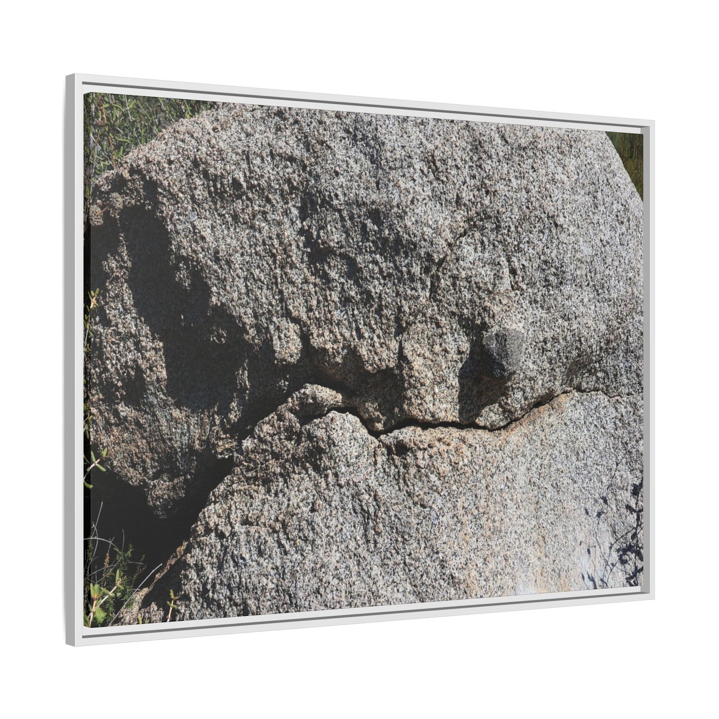 Stone Skull in Desert - Unique Stretched Canvas Wall Art