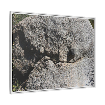 Stone Skull in Desert - Unique Stretched Canvas Wall Art