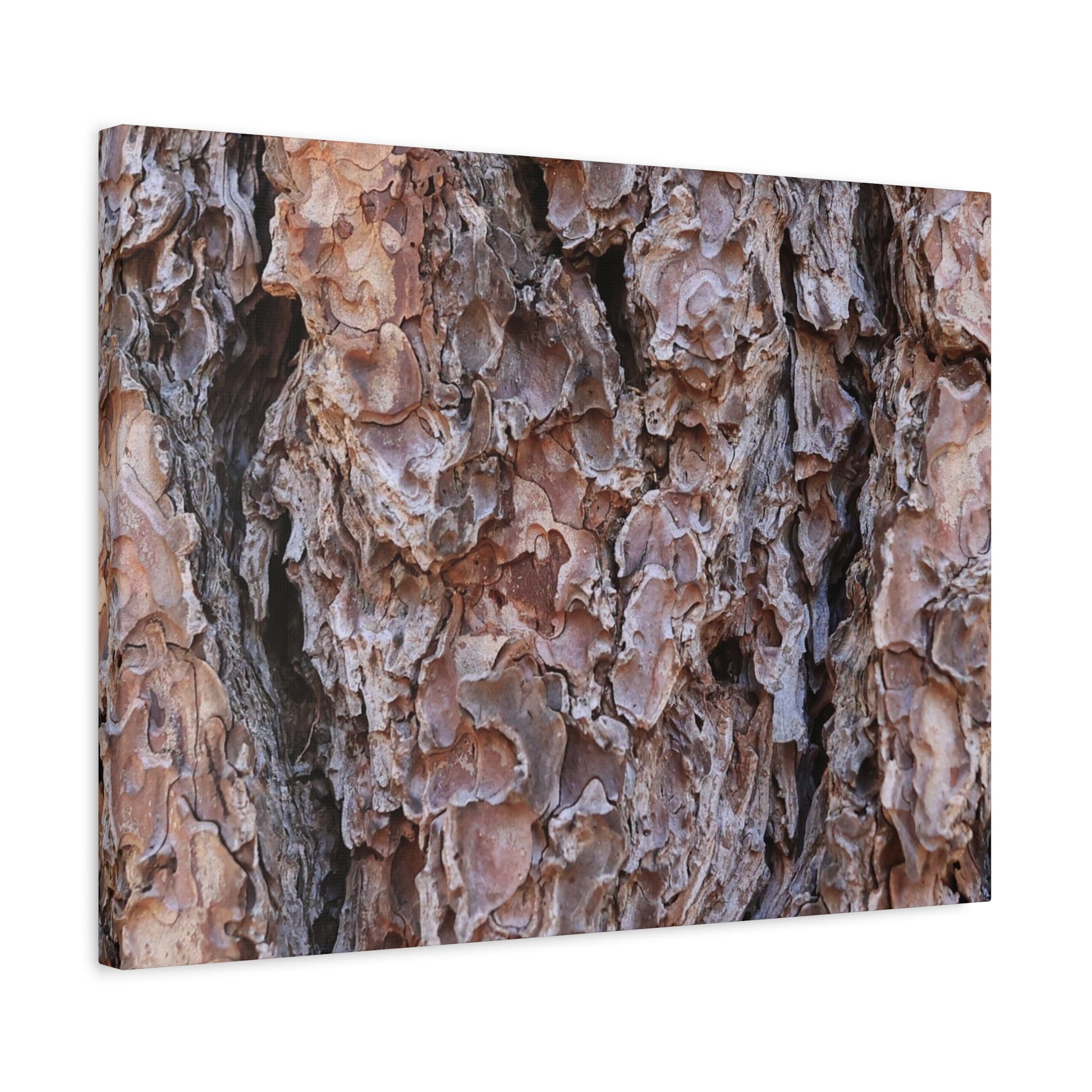 Rough Canvas - Unique Frameless Canvas Wall Art - Art By Earth