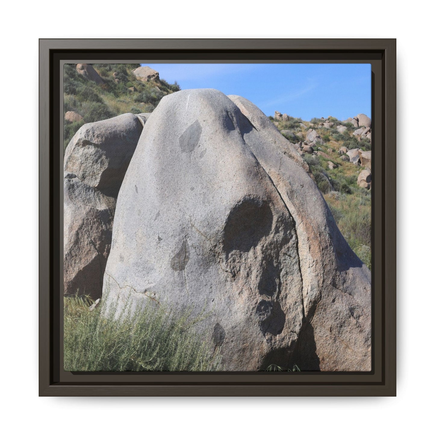 Skull Rock Desert - Unique Stretched Canvas Wall Art - Art By Earth