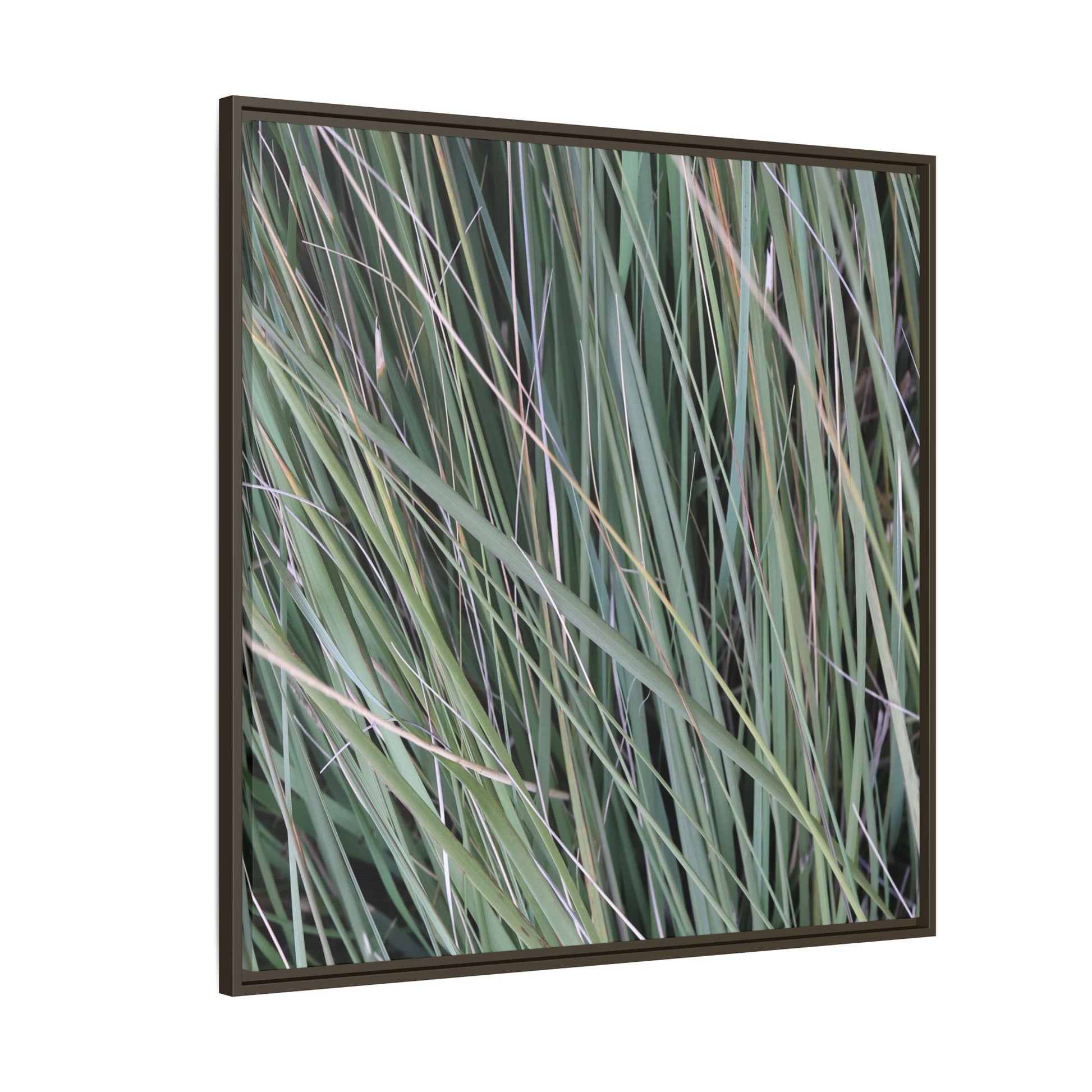 Grassland Symphony - Unique Stretched Canvas Wall Art - Art By Earth