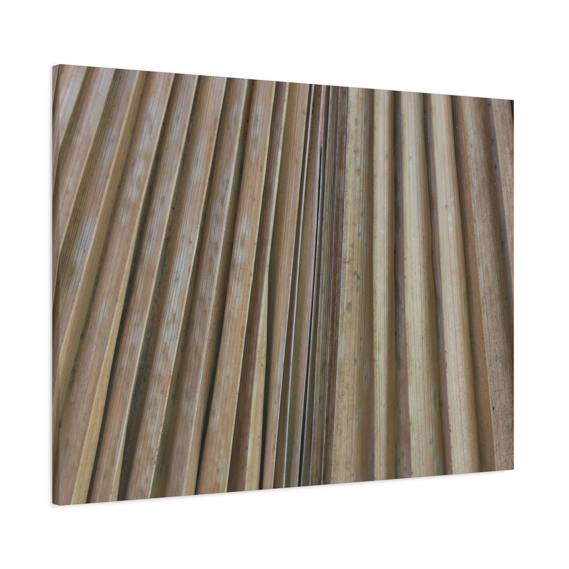 Linear Rhythm - Unique Frameless Canvas Wall Art - Art By Earth