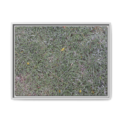 Grassy Texture - Unique Stretched Canvas Wall Art - Art By Earth