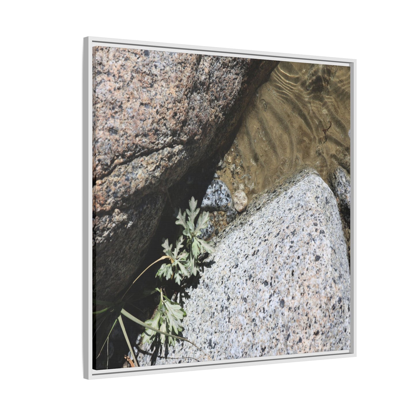 Resilience in Stone - Unique Stretched Canvas Wall Art - Art By Earth
