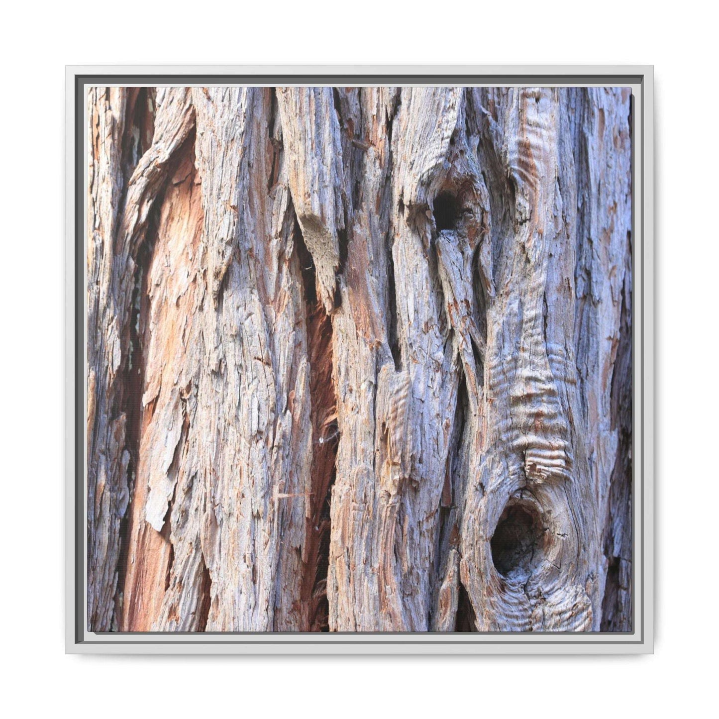 Nature's Grain - Unique Stretched Canvas Wall Art - Art By Earth
