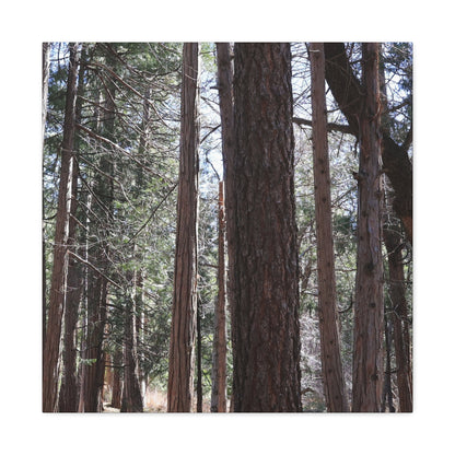 Vertical Sentinels - Unique Frameless Canvas Wall Art - Art By Earth