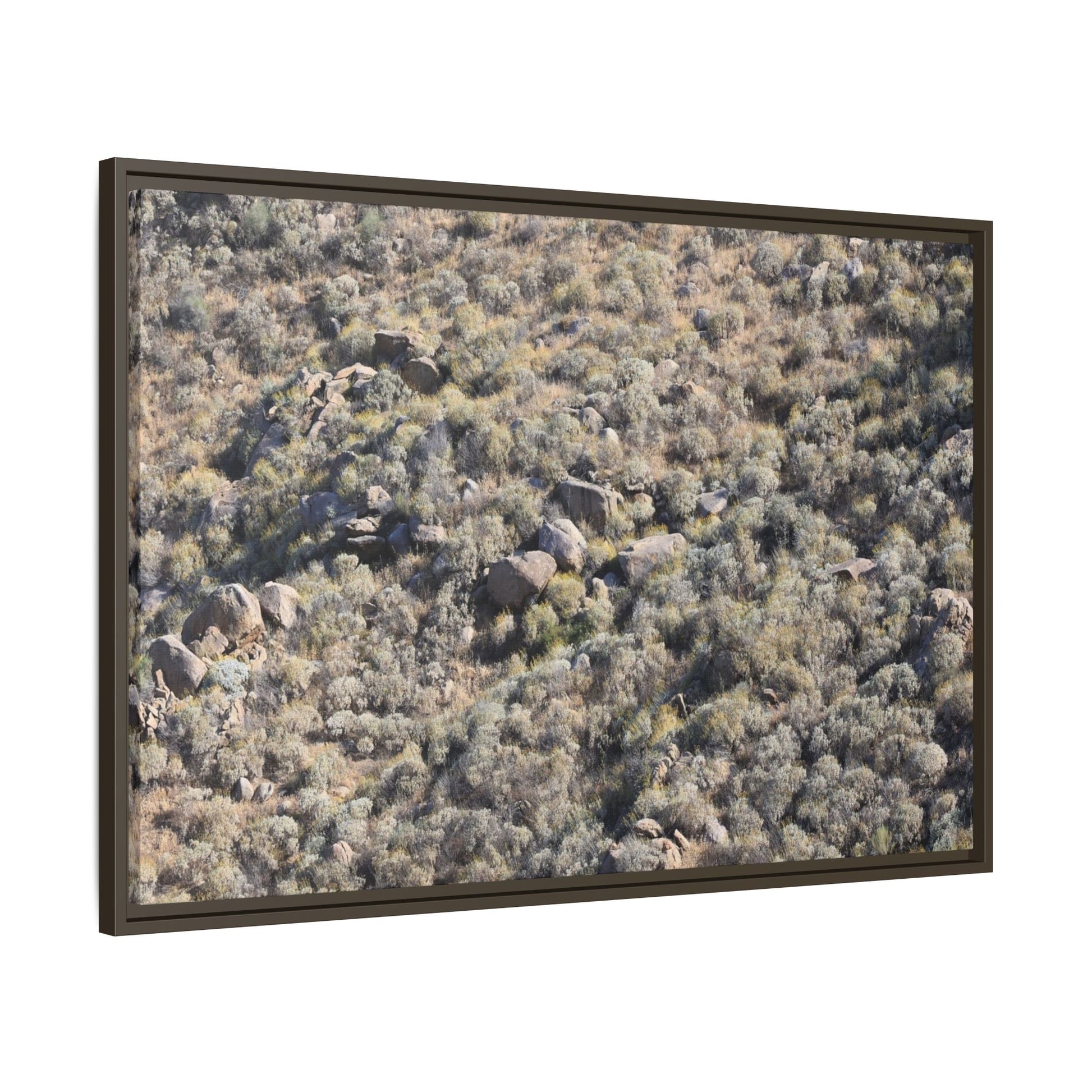 Arid Terrain Study - Unique Stretched Canvas Wall Art - Art By Earth