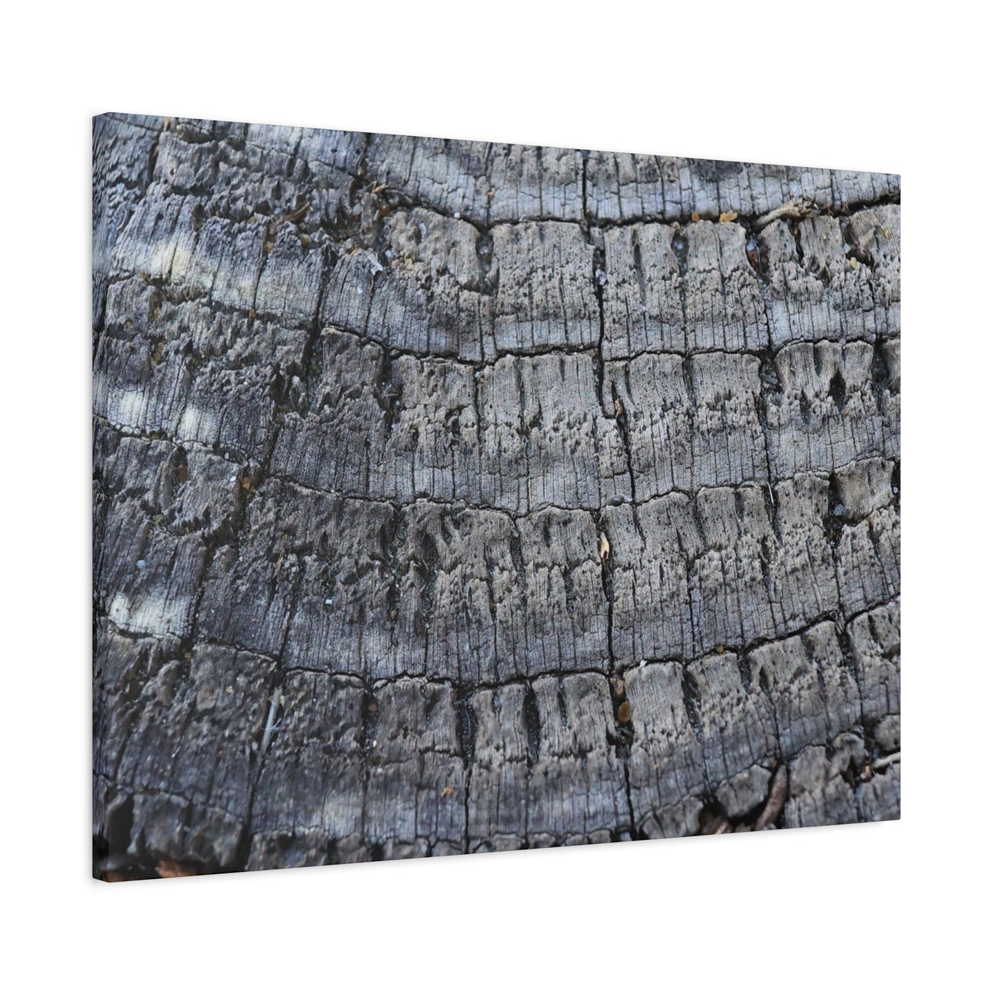 Whispers of Age - Unique Frameless Canvas Wall Art - Art By Earth