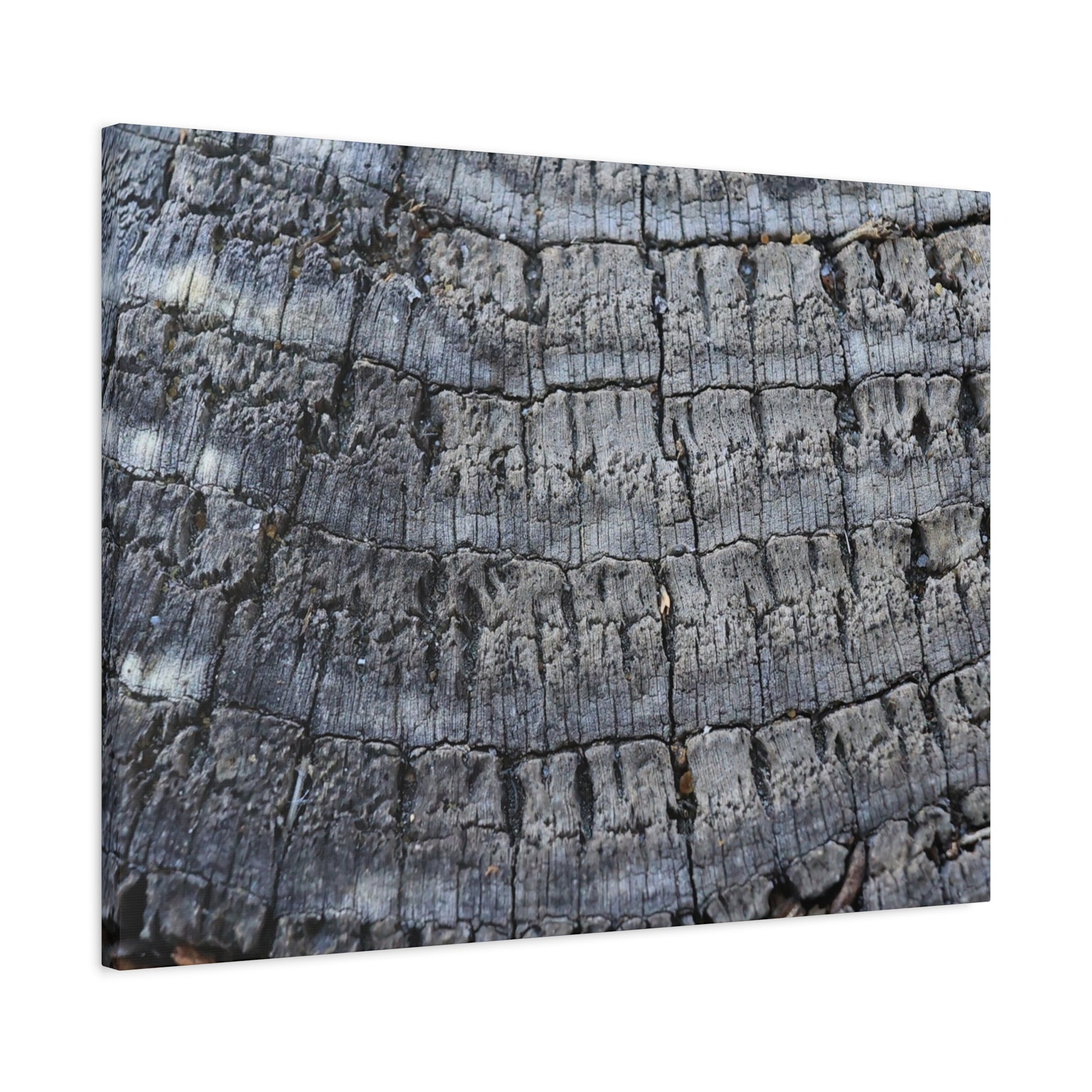 Whispers of Age - Unique Frameless Canvas Wall Art - Art By Earth