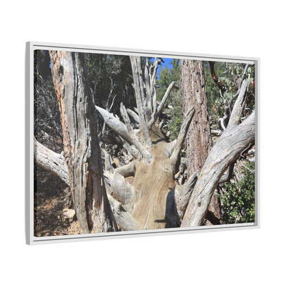 Forest Sentinels - Unique Stretched Canvas Wall Art