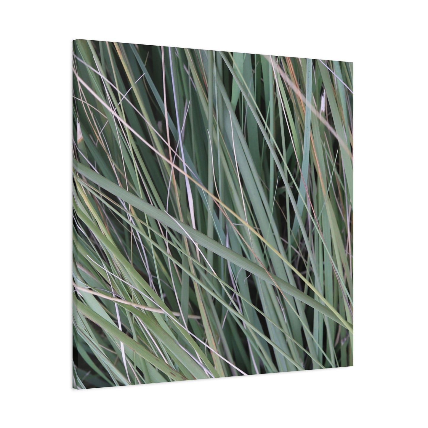 Whispers of Green - Unique Frameless Canvas Wall Art - Art By Earth