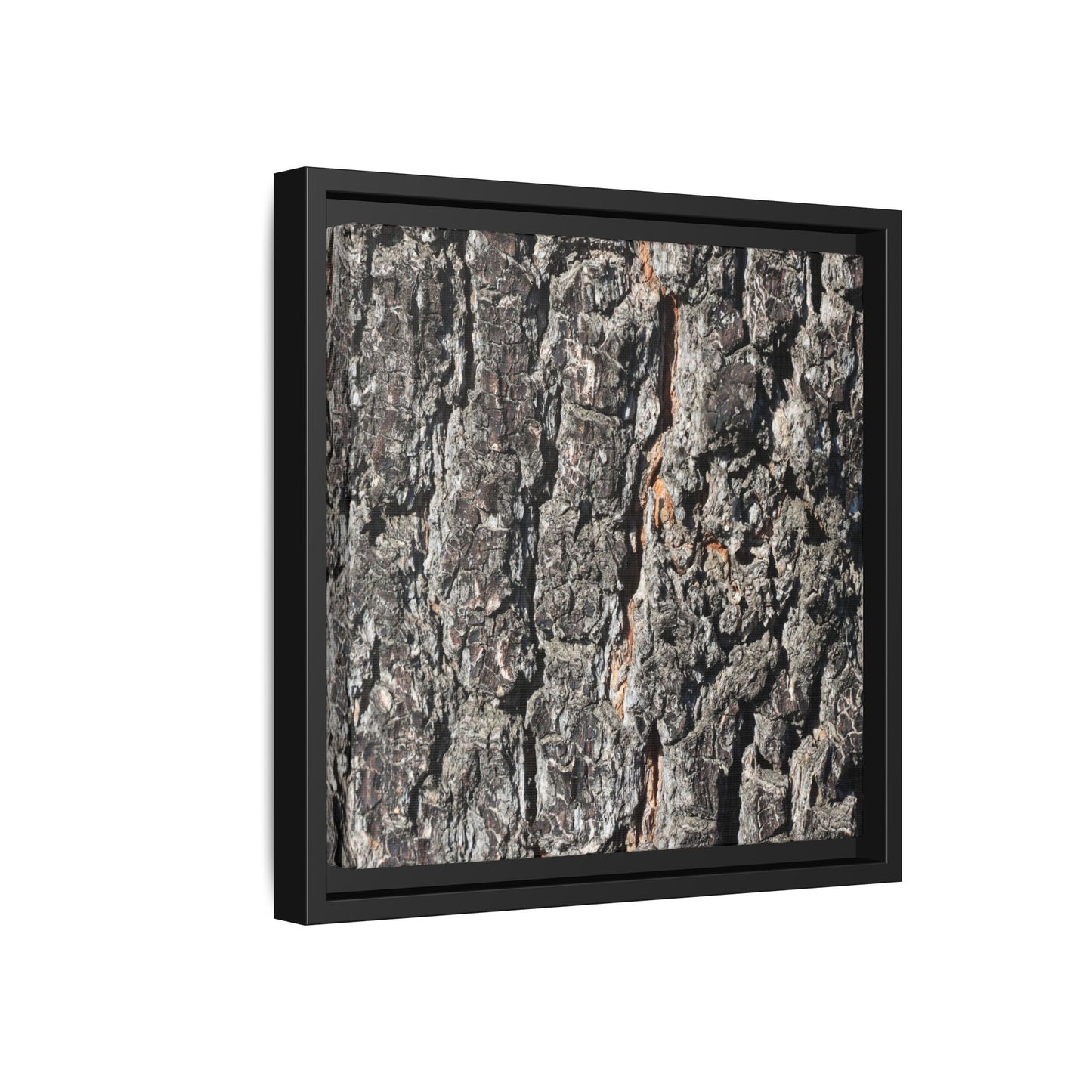 Aged Beauty - Unique Stretched Canvas Wall Art - Art By Earth