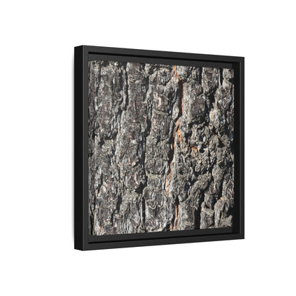 Aged Beauty - Unique Stretched Canvas Wall Art - Art By Earth