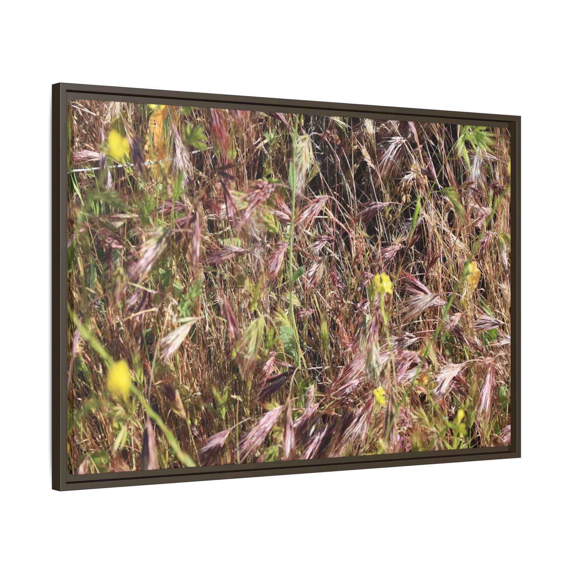 Autumn Meadow - Unique Stretched Canvas Wall Art - Art By Earth