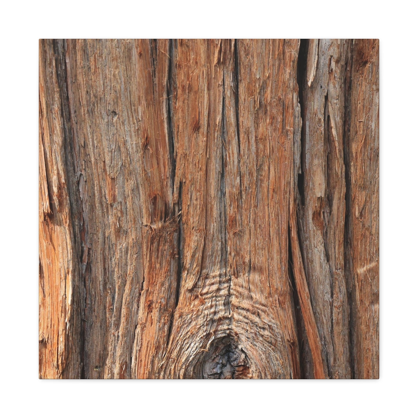 Bark's Ancient Whispers - Unique Frameless Canvas Wall Art - Art By Earth